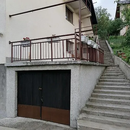 Mujo Z